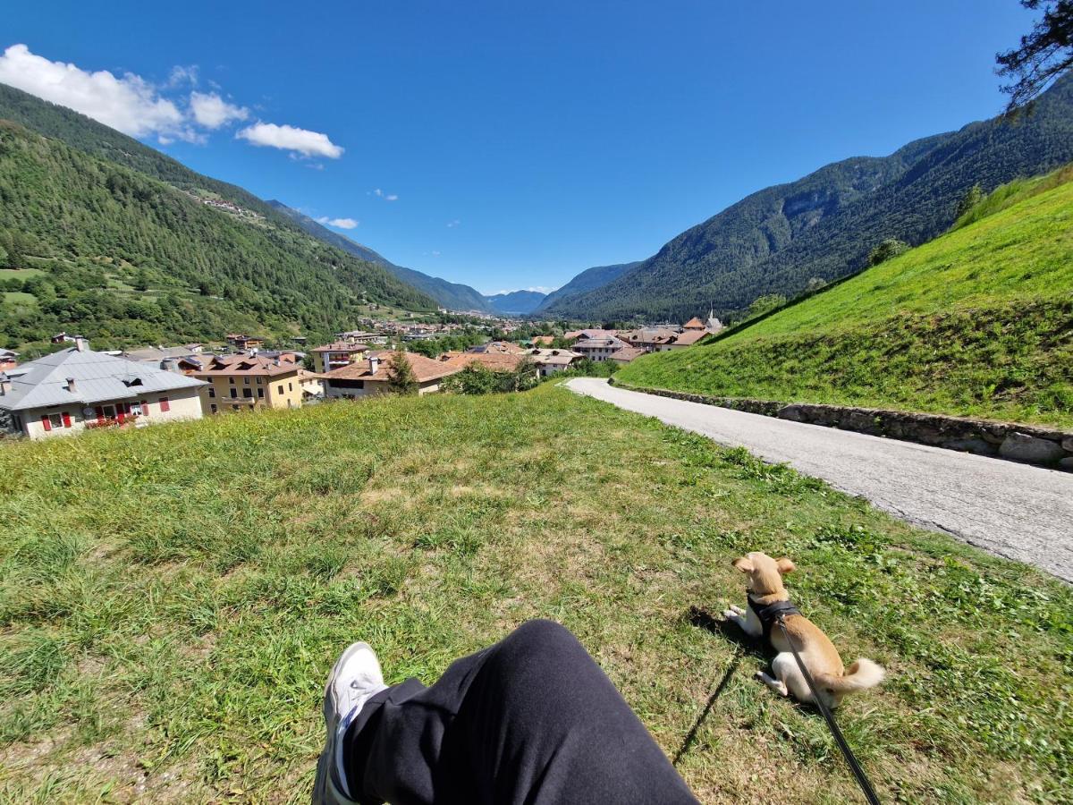 Marmot Apartment Dimaro Dış mekan fotoğraf