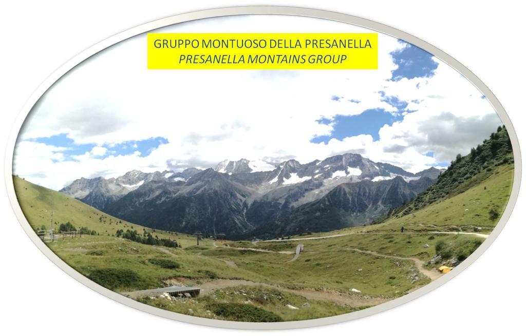 Marmot Apartment Dimaro Dış mekan fotoğraf